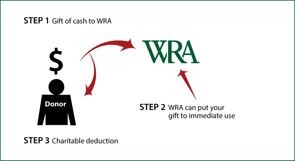 Cash, Checks, and Credit Cards Diagram. Description of image is listed below.